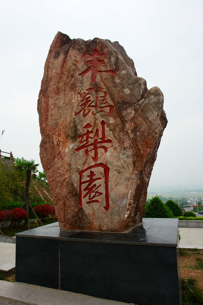 DSC02736.jpg