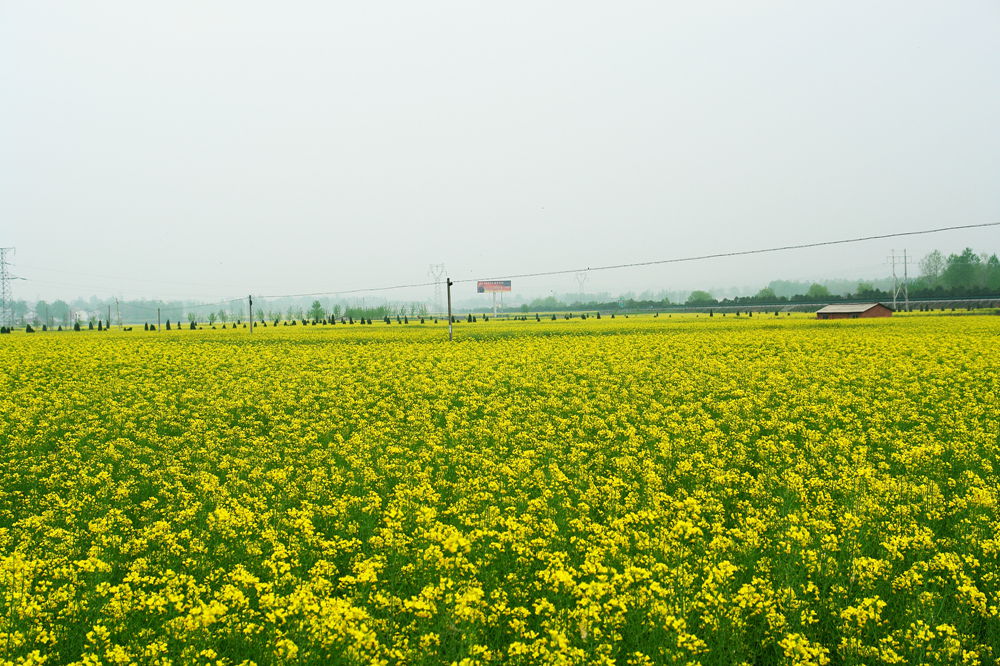 DSC02782.JPG