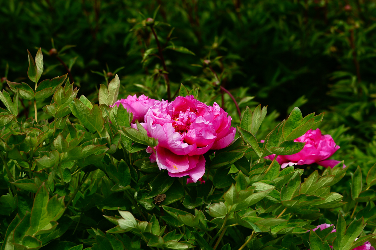 ͻ009.jpg