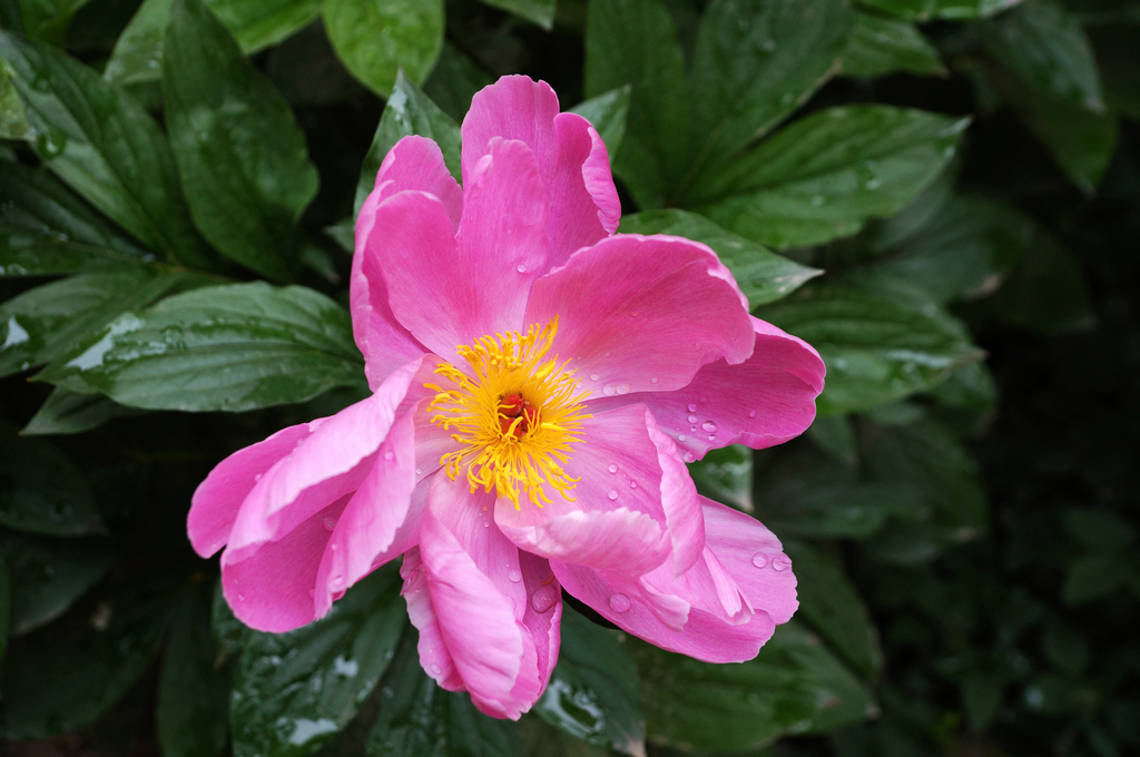 2-DSCO3843--g-2.jpg