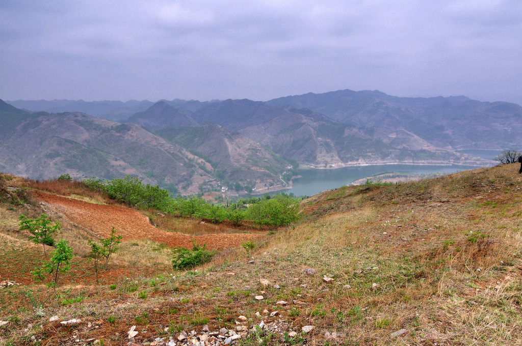 DSC_0399.jpg