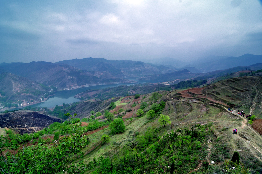 DSC_0418.jpg