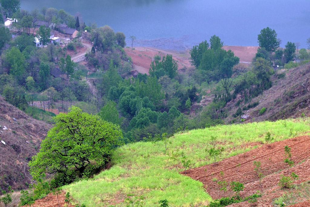 DSC_0452.jpg