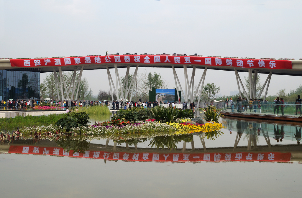 DSC04430-g-2.jpg