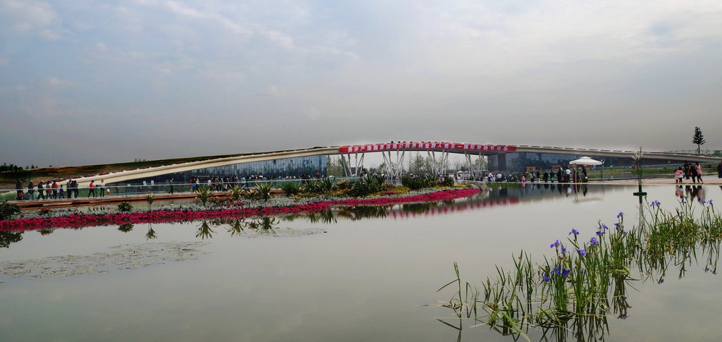 DSC04399-gggg-2.jpg