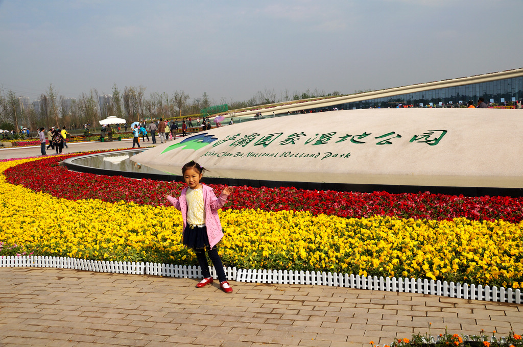 DSC04422-g-2.jpg
