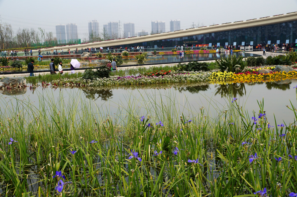 DSC04434-g-2.jpg