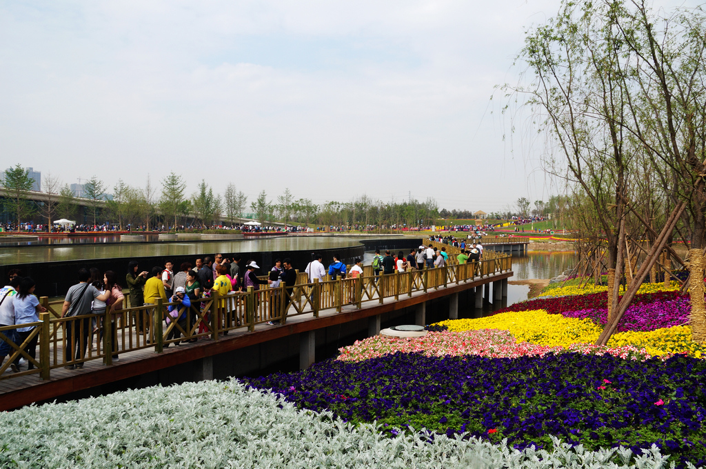 DSC04511-g-2.jpg