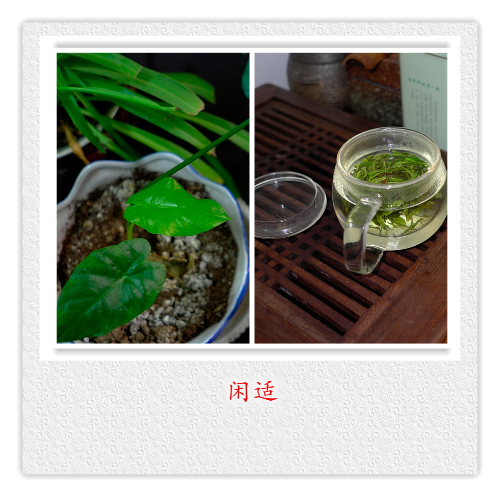 L1021022_.jpg