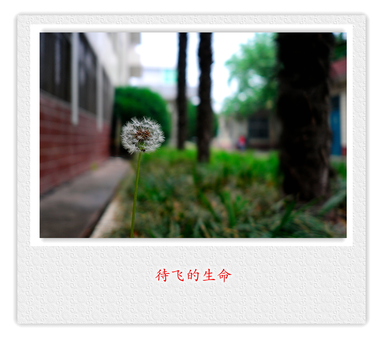 L1021028.JPG