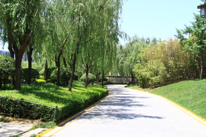 DPP_0010.JPG
