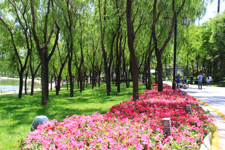 DPP_0022.JPG