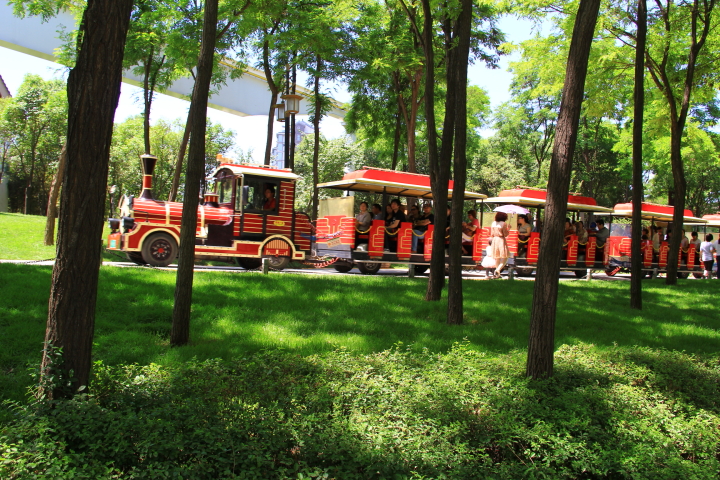 DPP_0028.JPG