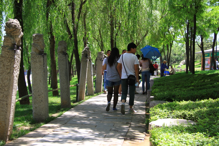 DPP_0031.JPG