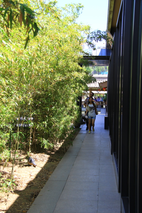 DPP_0053.JPG