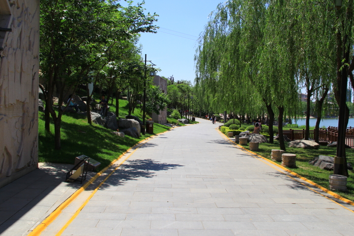 DPP_0065.JPG