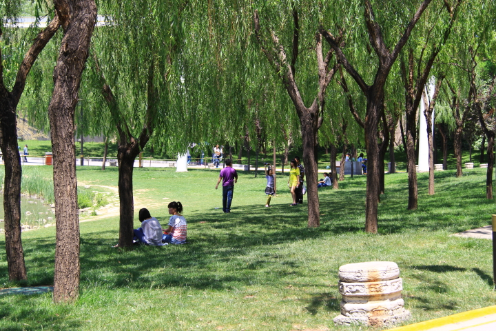 DPP_0066.JPG