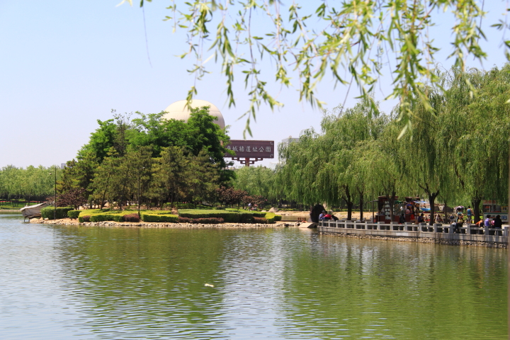 DPP_0068.JPG