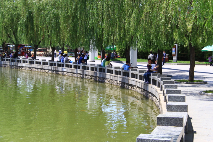 DPP_0070.JPG