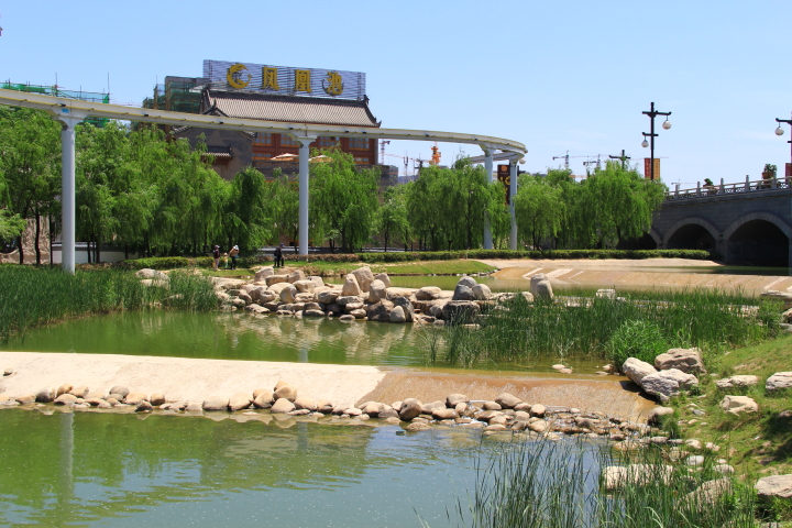 DPP_0014.JPG