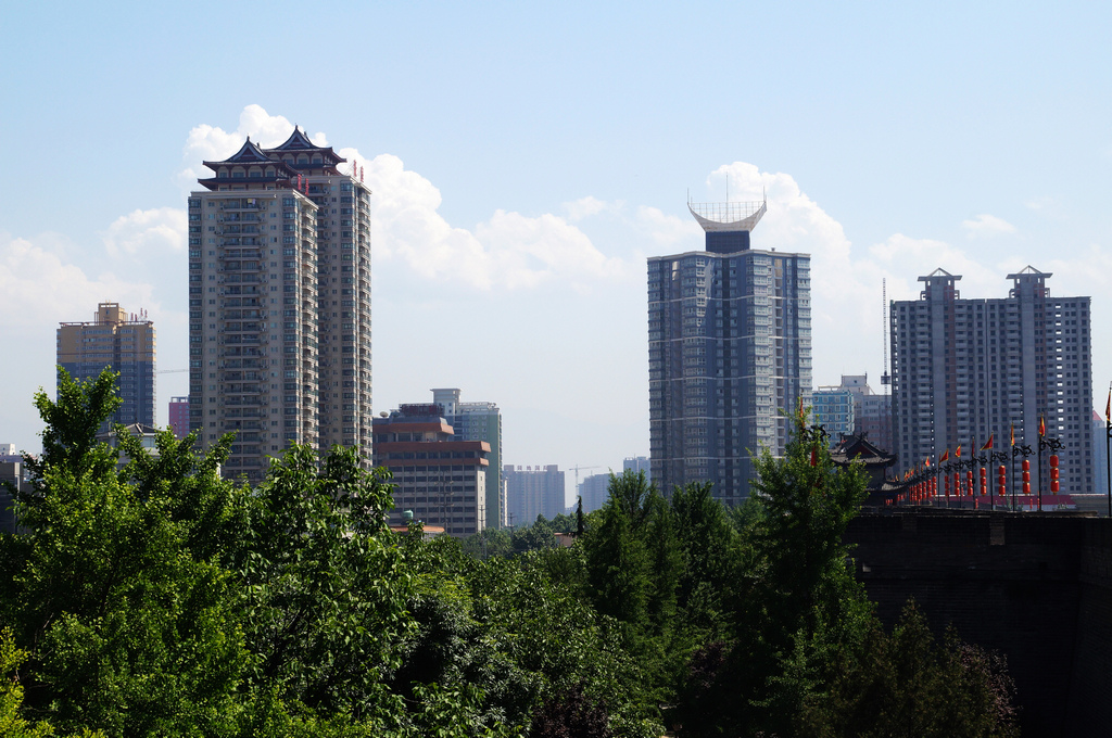 DSC05224-g-2.jpg