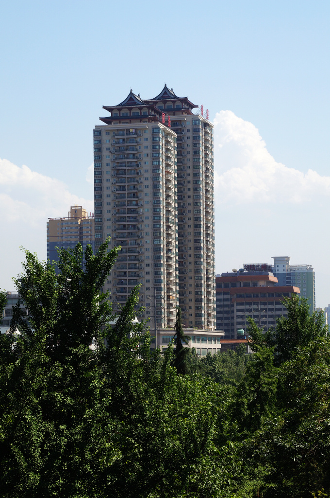 DSC05225-g-2.jpg