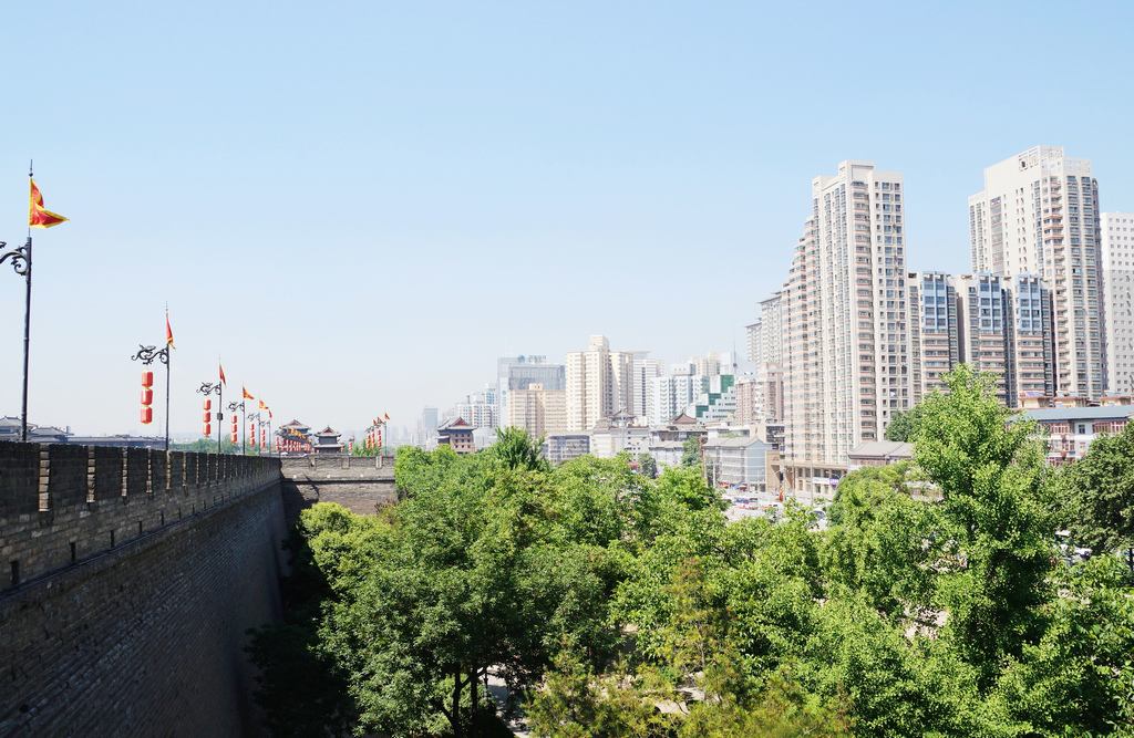 DSC05228-g-2.jpg