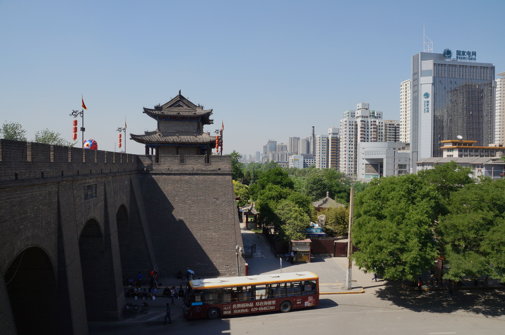 DSC05249-g-2.jpg