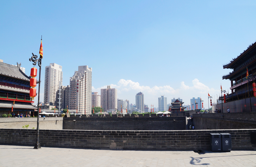 DSC05251-g-2.jpg