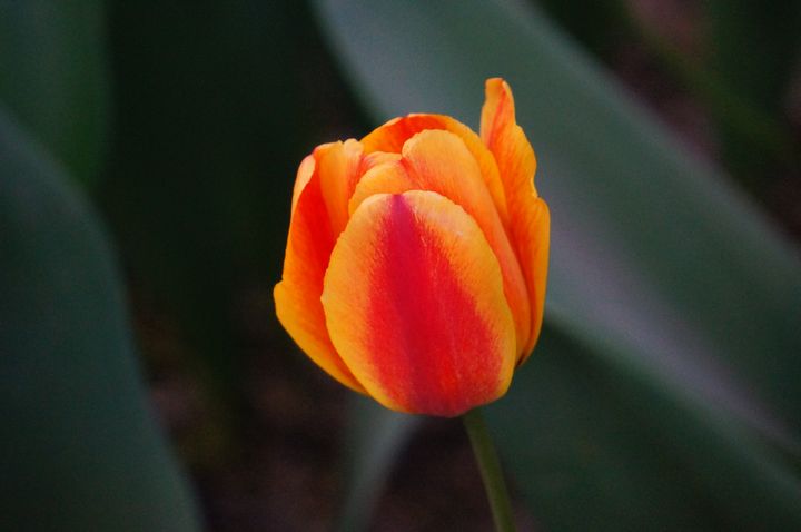 nEO_IMG_DSC02784.jpg