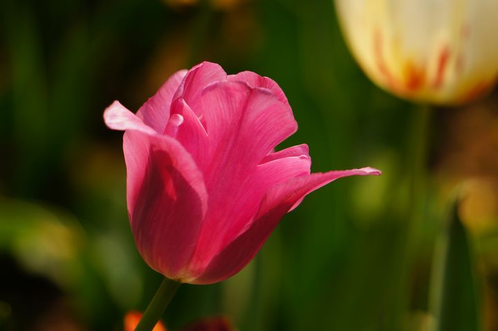 nEO_IMG_DSC03037.jpg
