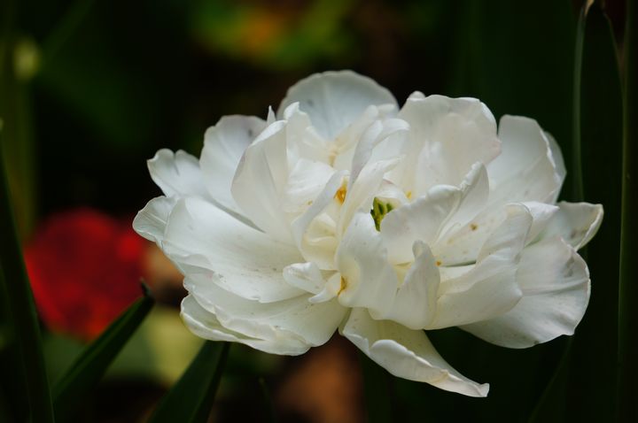 nEO_IMG_DSC03043.jpg