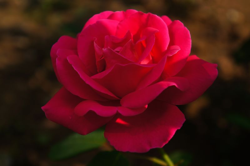 nEO_IMG_DSC04068.jpg