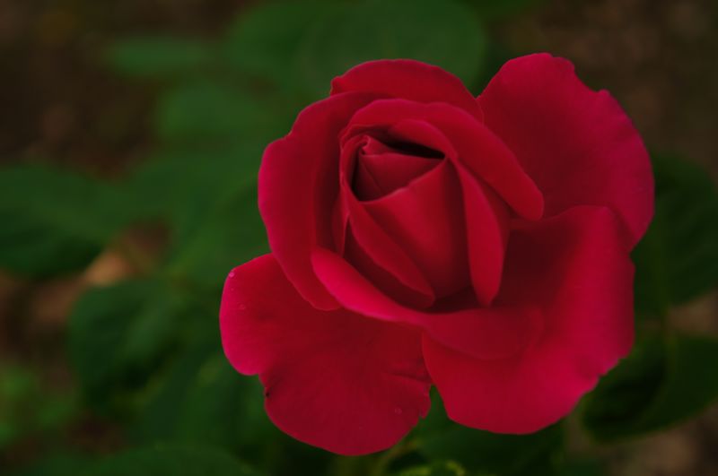 nEO_IMG_DSC04057.jpg