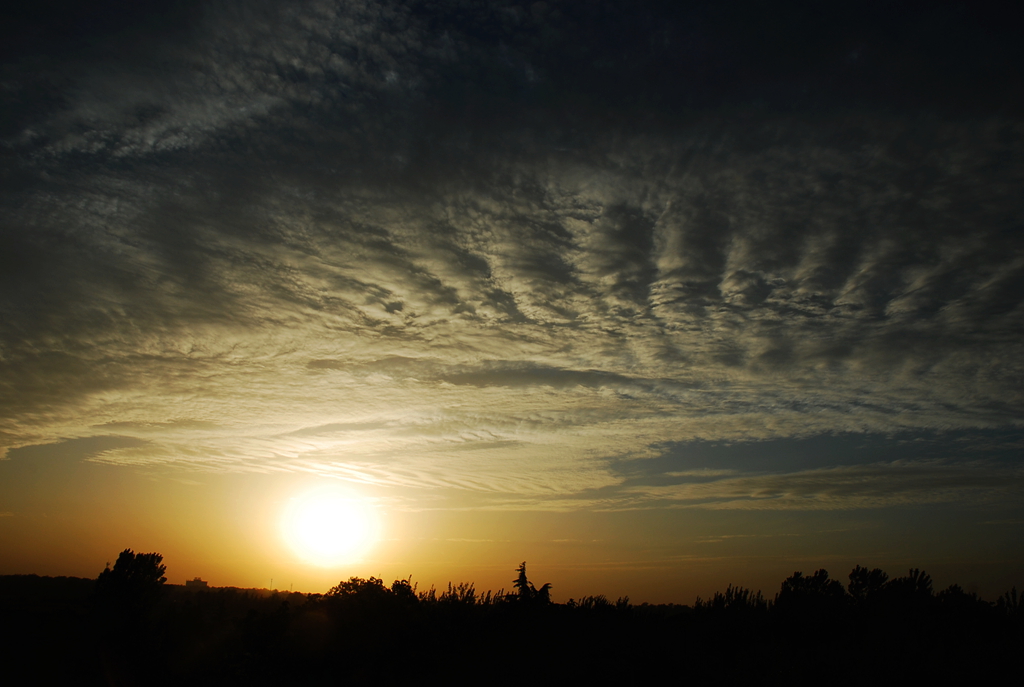 DSC_1449.JPG