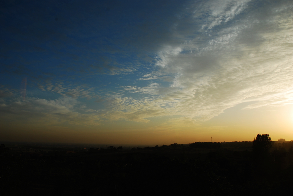 DSC_1450.JPG