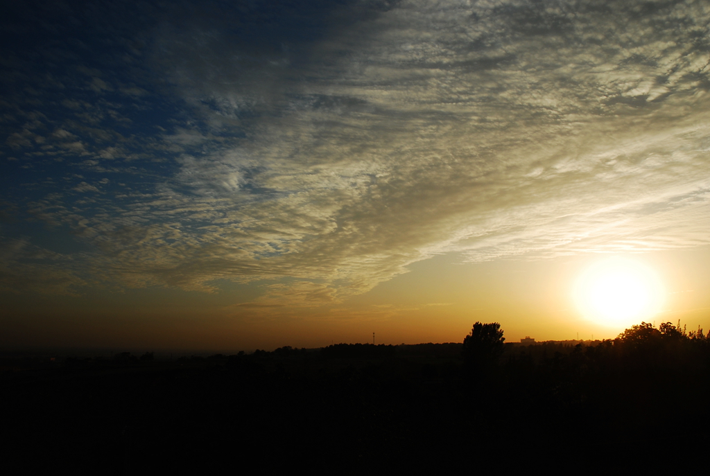 DSC_1456.JPG