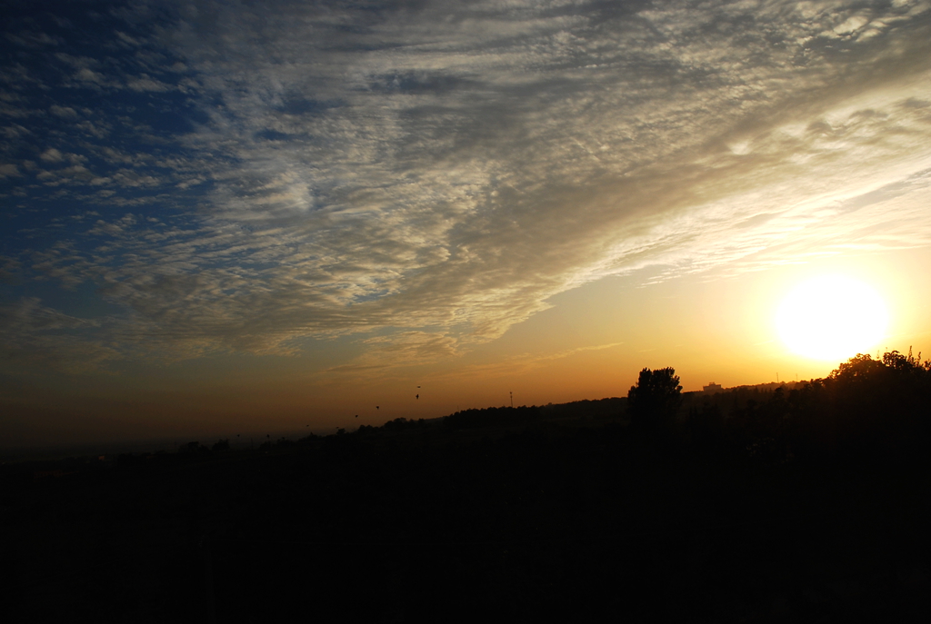 DSC_1459.JPG