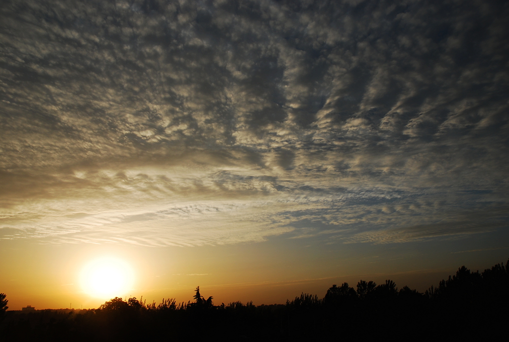 DSC_1460.JPG