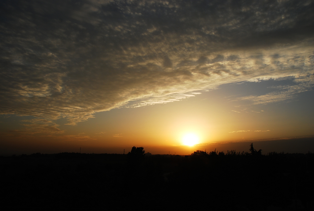 DSC_1464.JPG