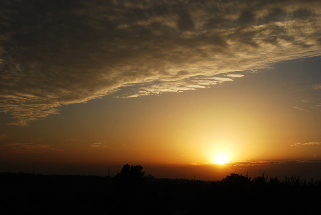 DSC_1467.JPG