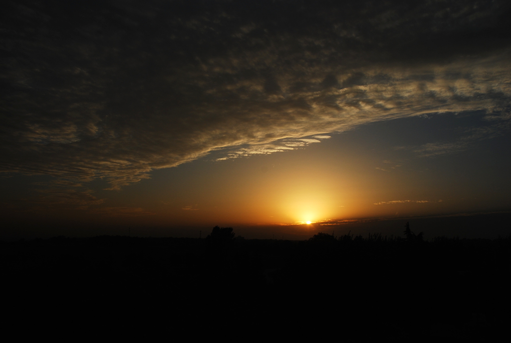 DSC_1470.JPG