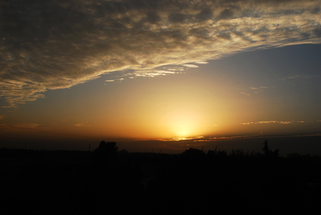 DSC_1477.JPG
