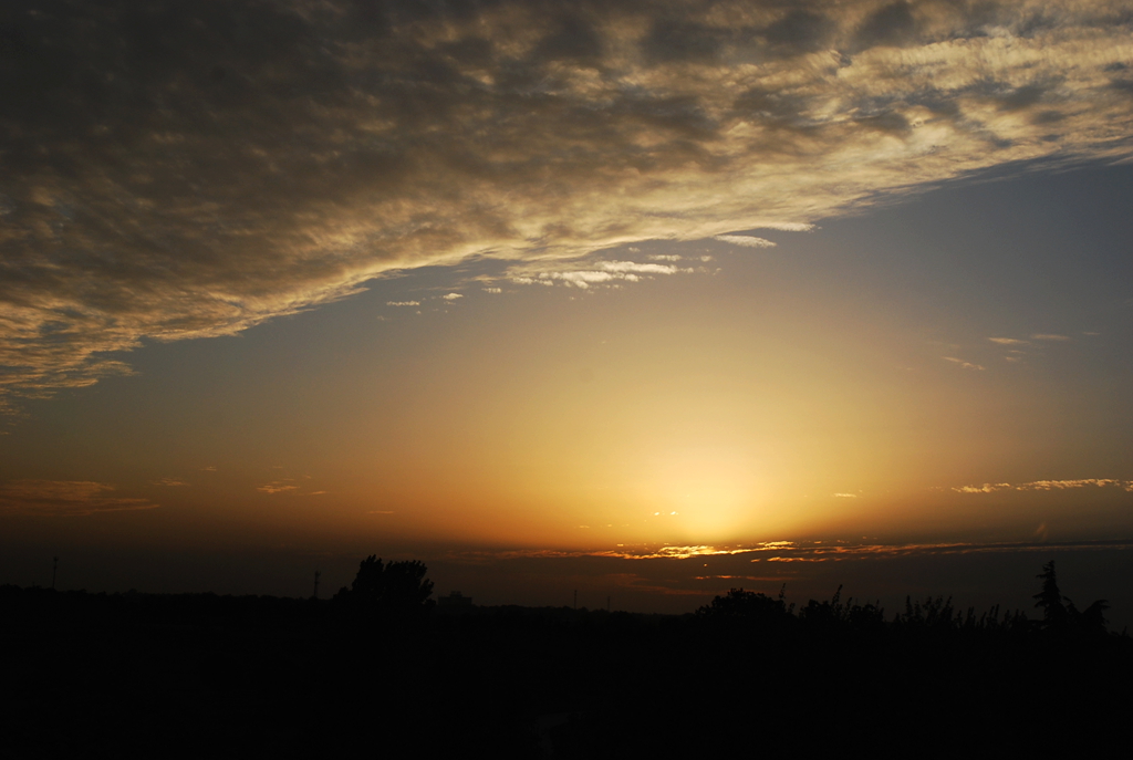 DSC_1479.JPG