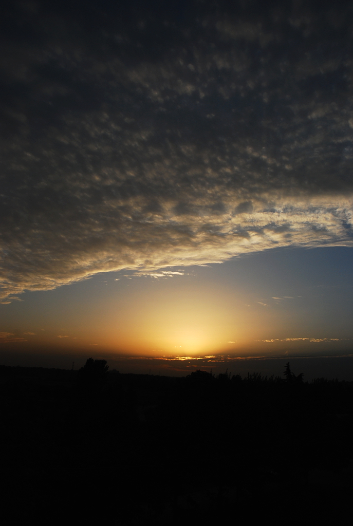 DSC_1480.JPG