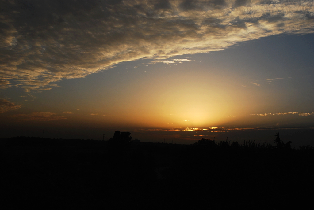 DSC_1481.JPG