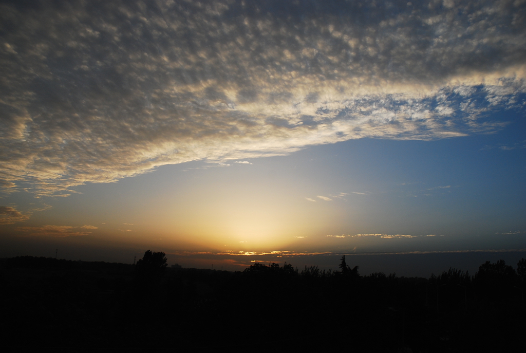 DSC_1483.JPG