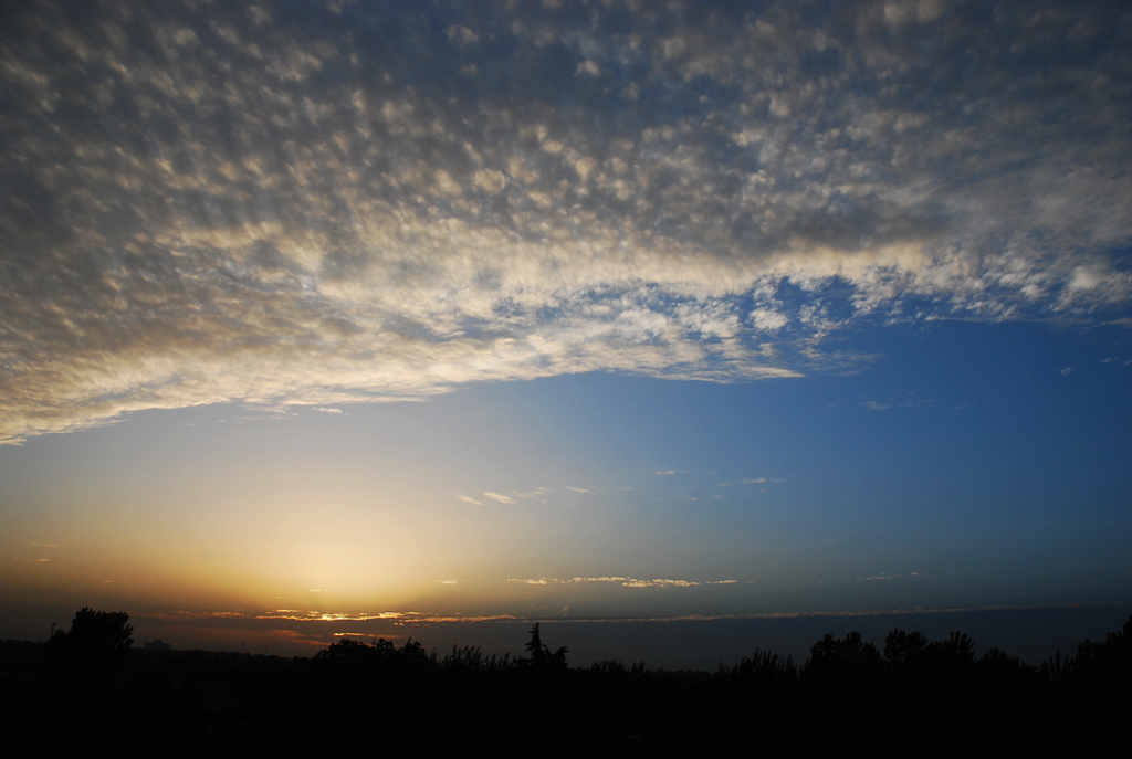 DSC_1484.JPG