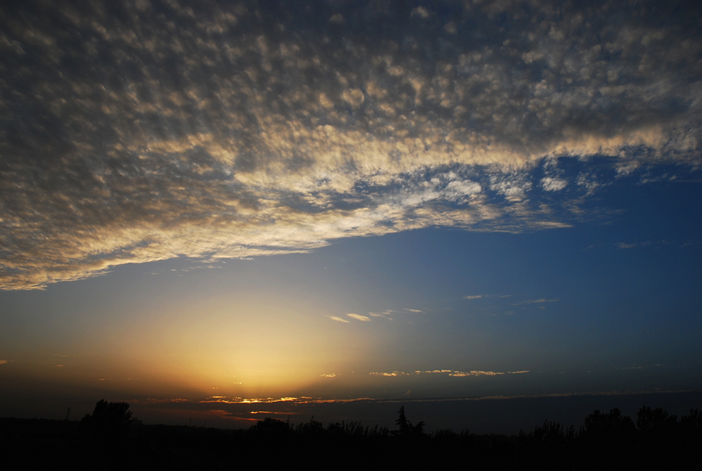 DSC_1485.JPG
