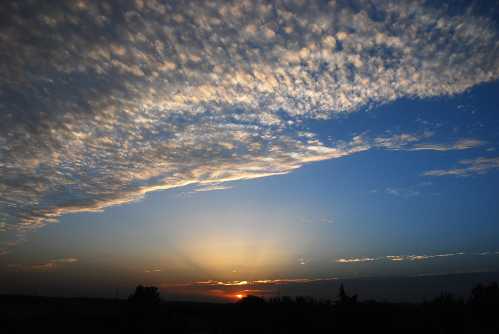 DSC_1492.JPG